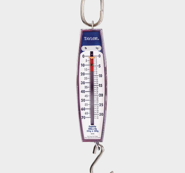 Spring Scale, Vertical